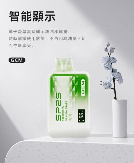 sp2 9000口 sp2 9000口